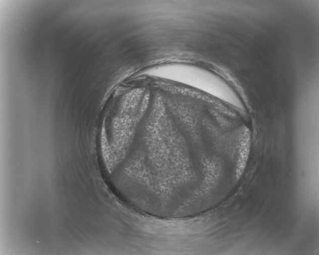 X0000055970010200509162210