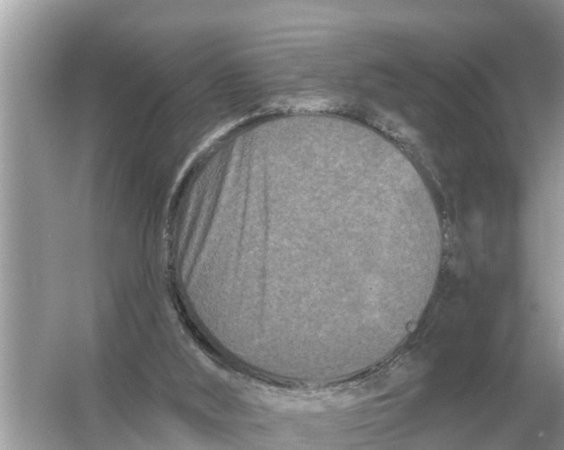 X0000055970012200509162210