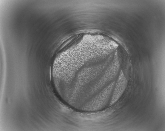 X0000055970013200509162210