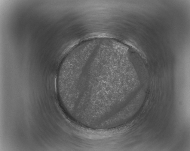 X0000055970014200509162210