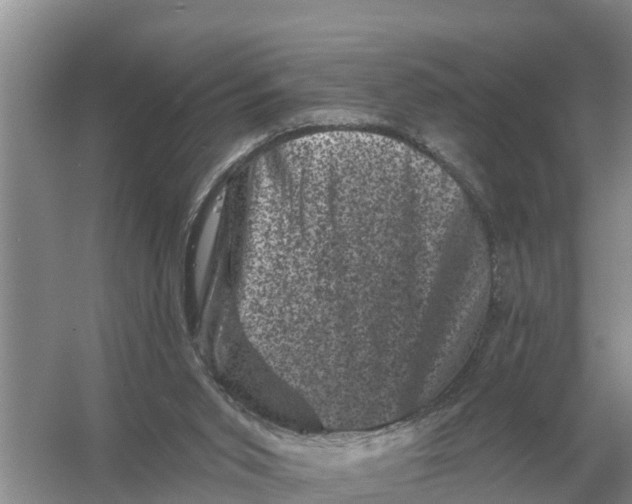 X0000055970015200509162210