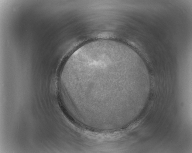 X0000055970016200509162210