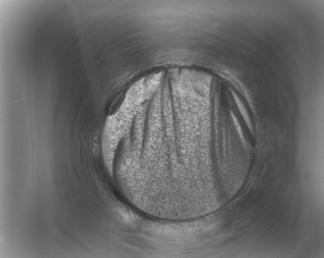 X0000055970017200509162210