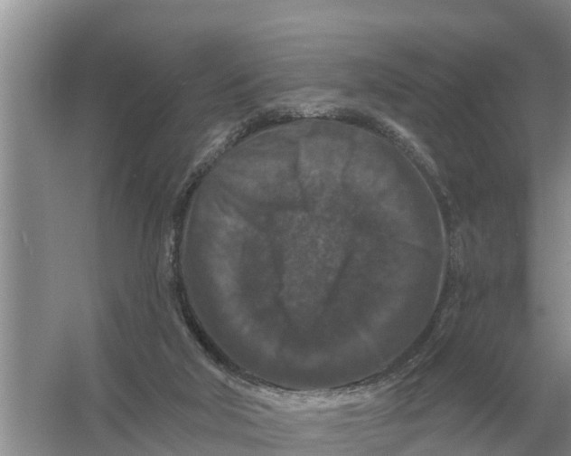 X0000055970018200509162210