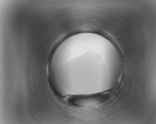 X0000055970019200509162210