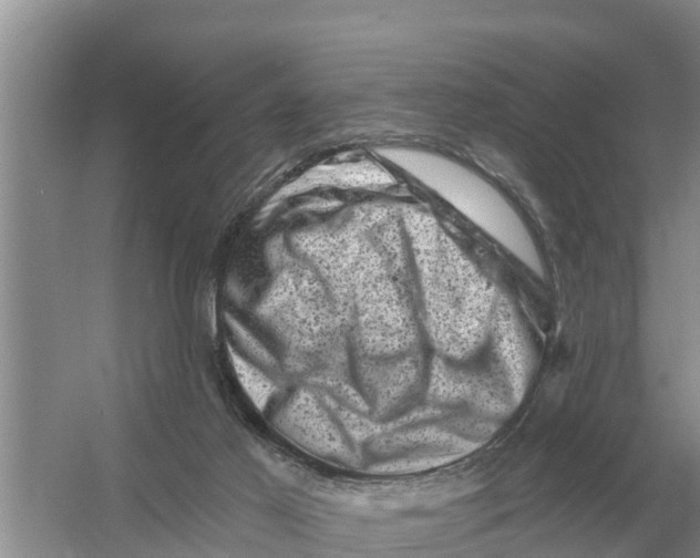 X0000055970021200509162210