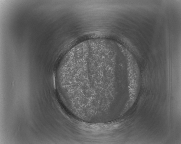 X0000055970022200509162210