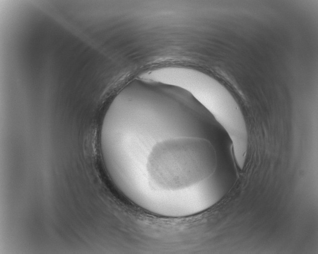 X0000055970023200509162210