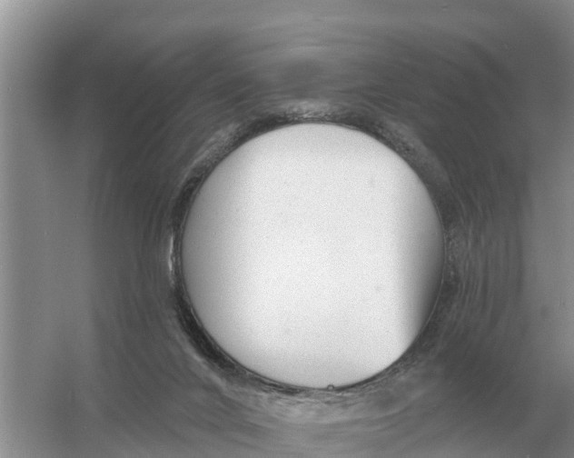 X0000055970024200509162210