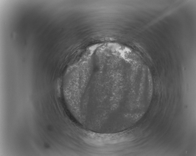 X0000055970026200509162210