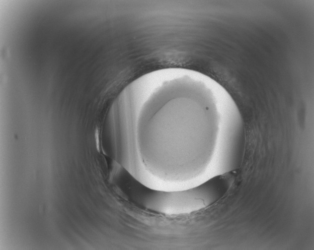 X0000055970027200509162210