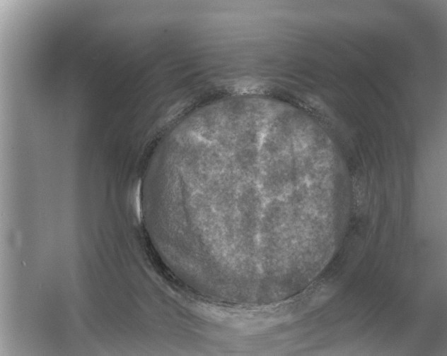 X0000055970028200509162210