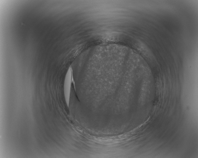 X0000055970029200509162210