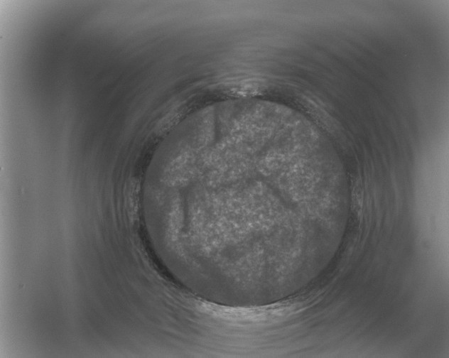 X0000055970030200509162210