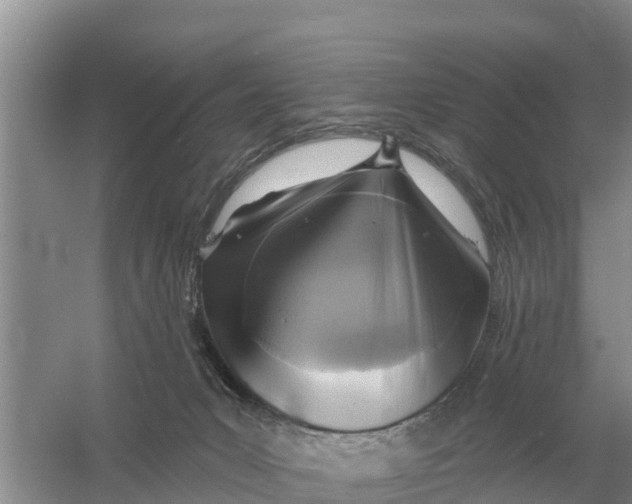 X0000055970031200509162210