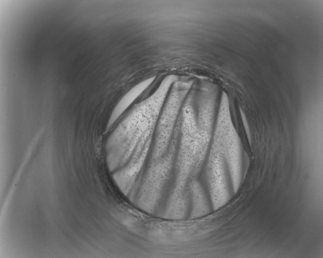 X0000055970033200509162210