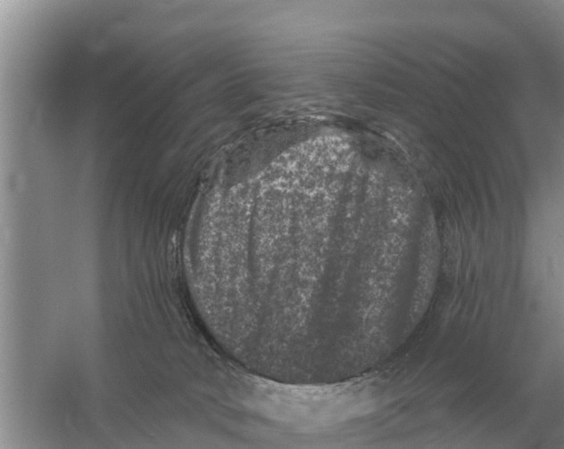 X0000055970034200509162210