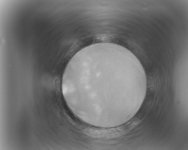 X0000055970036200509162210