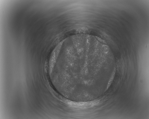 X0000055970038200509162210