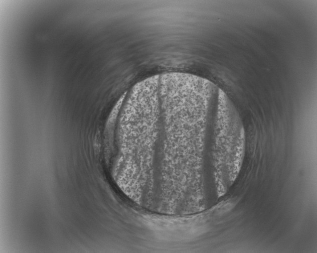 X0000055970040200509162210