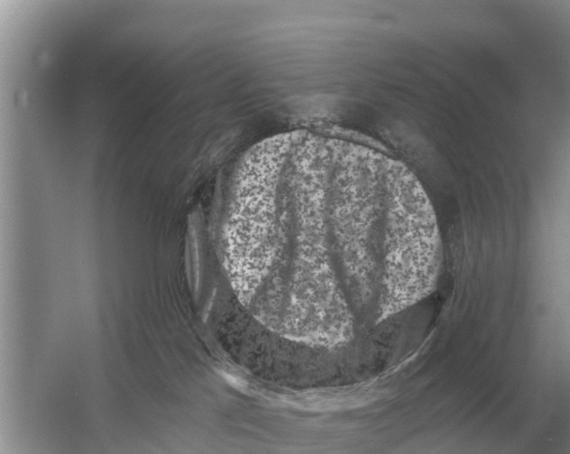 X0000055970041200509162210