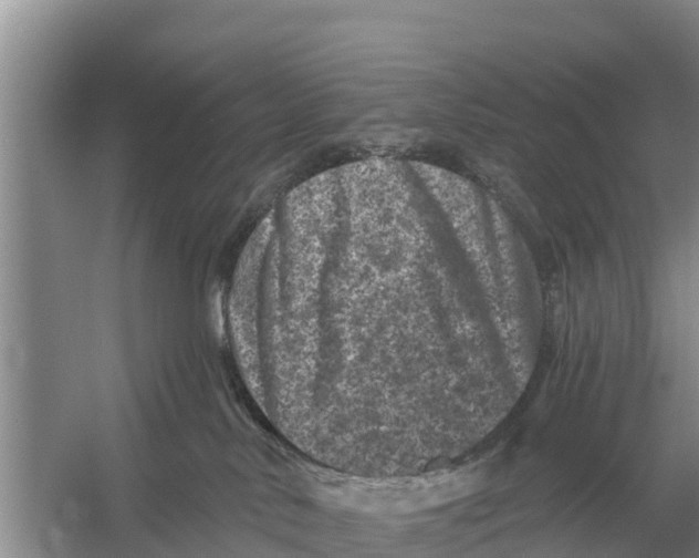 X0000055970042200509162210