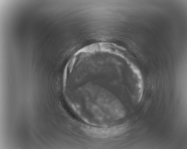 X0000055970043200509162210