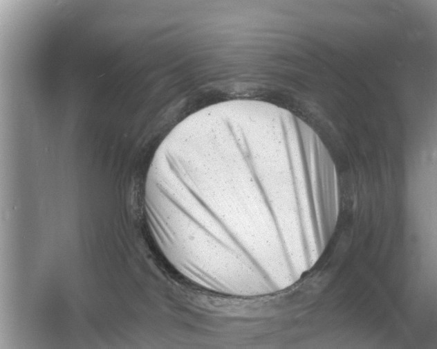 X0000055970044200509162210