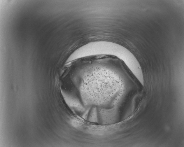 X0000055970045200509162210