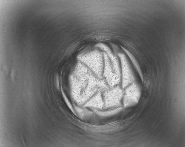 X0000055970046200509162210