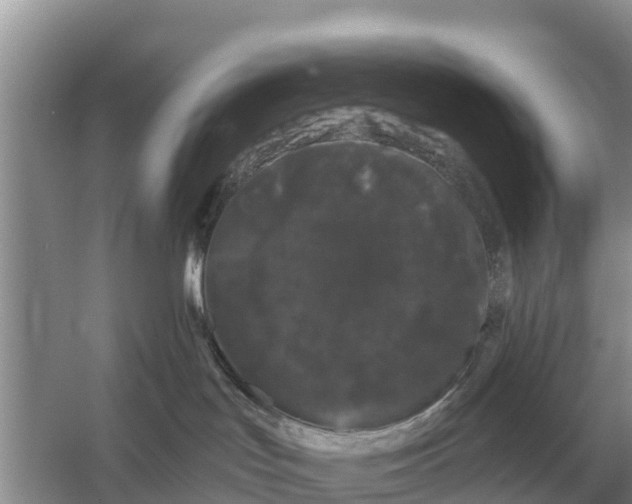 X0000055970047200509162210