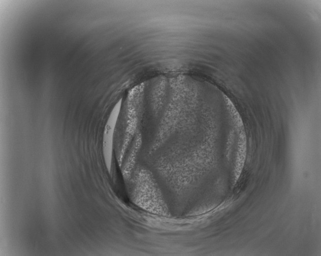 X0000055970048200509162210