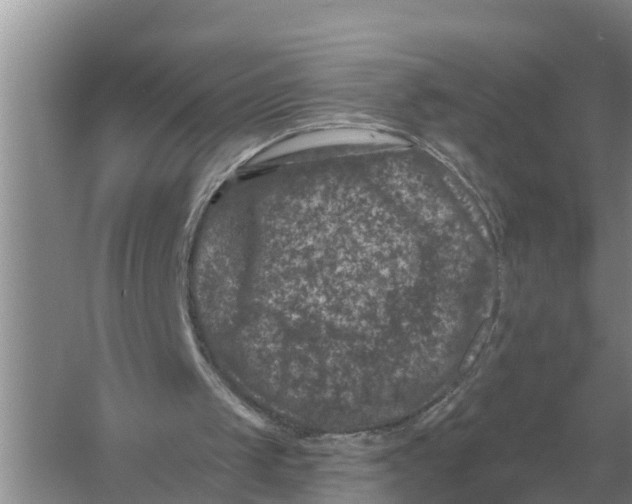 X0000055970049200509162209