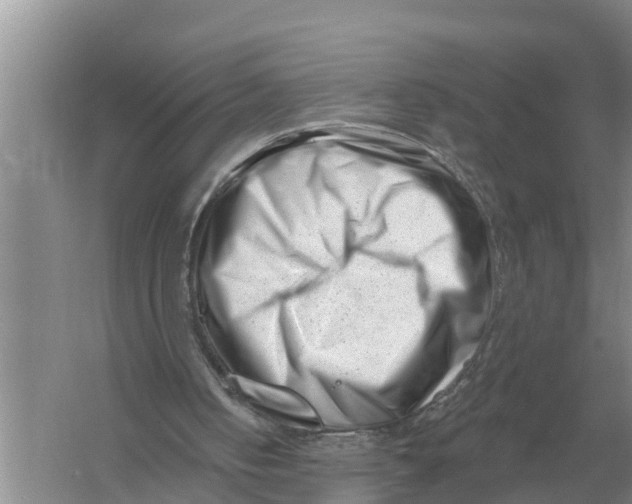 X0000055970050200509162209