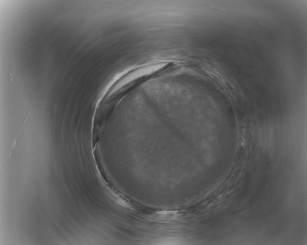 X0000055970052200509162209