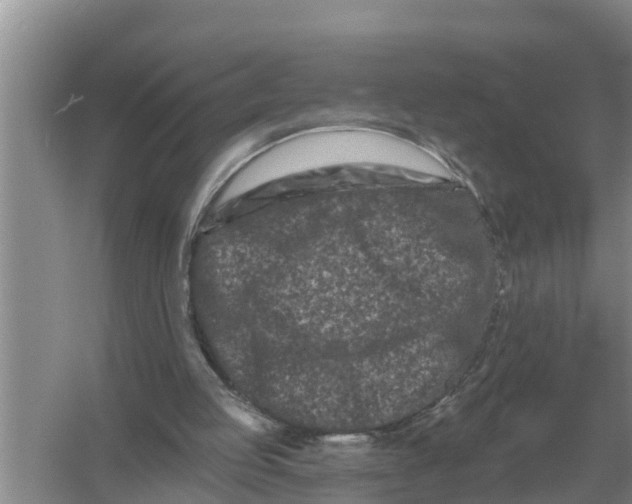 X0000055970053200509162209