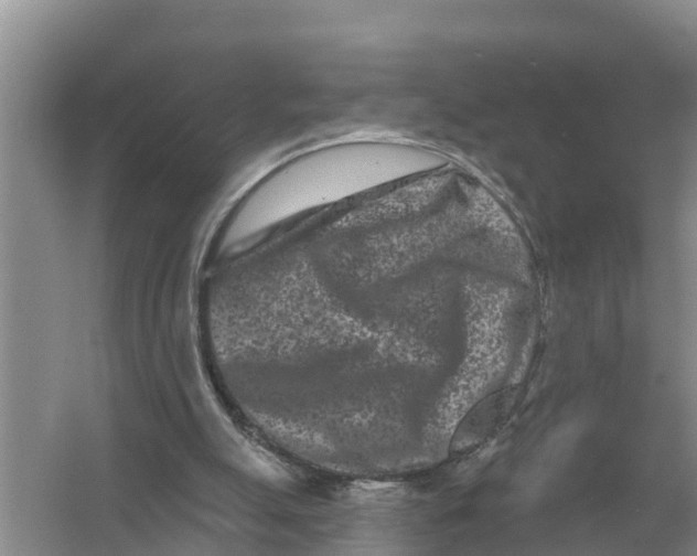 X0000055970055200509162209