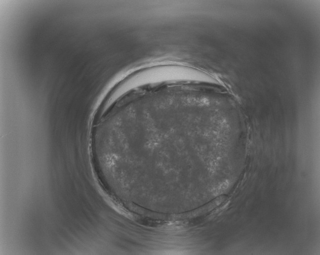 X0000055970056200509162209