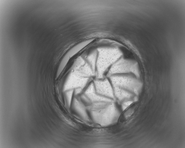 X0000055970057200509162209