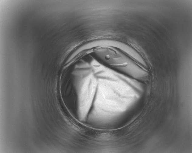 X0000055970058200509162209