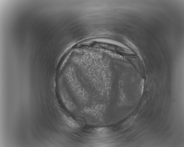 X0000055970059200509162209