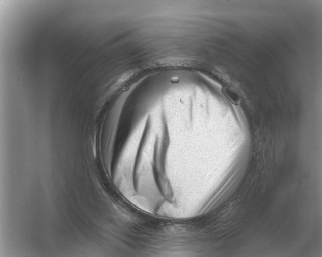 X0000055970062200509162209