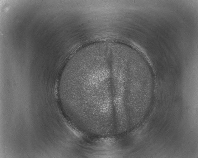 X0000055970065200509162209