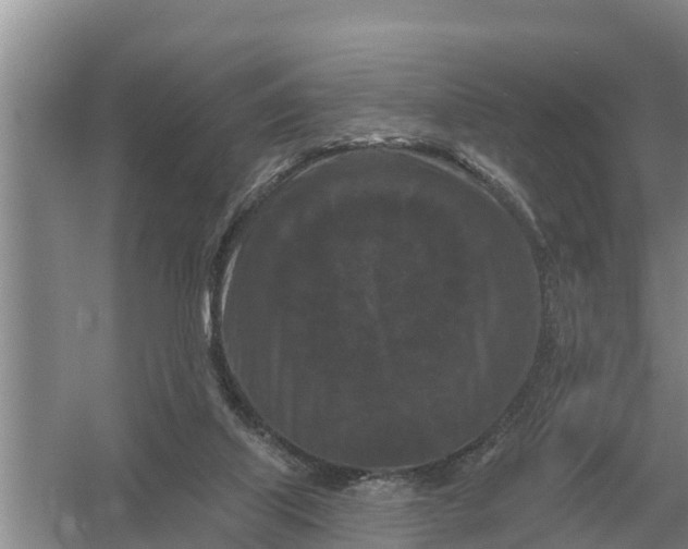 X0000055970067200509162209