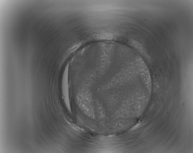 X0000055970068200509162209