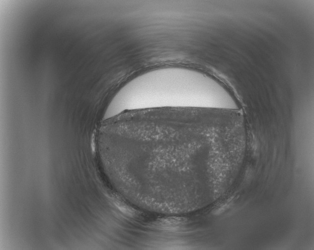 X0000055970069200509162209