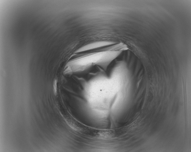 X0000055970070200509162209