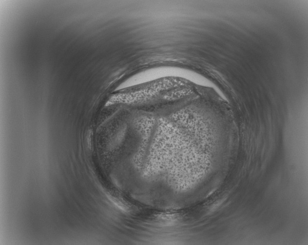 X0000055970071200509162209