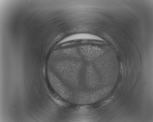 X0000055970072200509162209