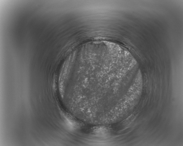 X0000055970074200509162209